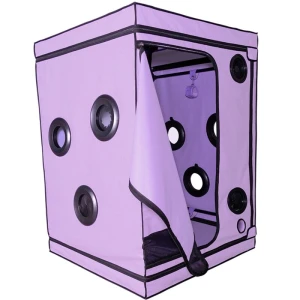 SECRET DOME - ESCÃNDALO ROXO DO CLUBE KINK